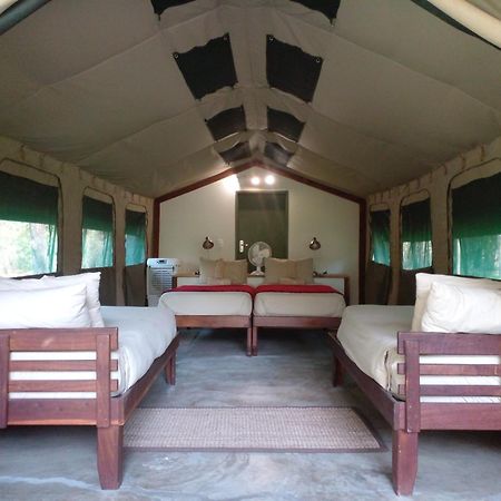 ホテル Zambezi Mubala Camp カティマ・ムリロ 部屋 写真