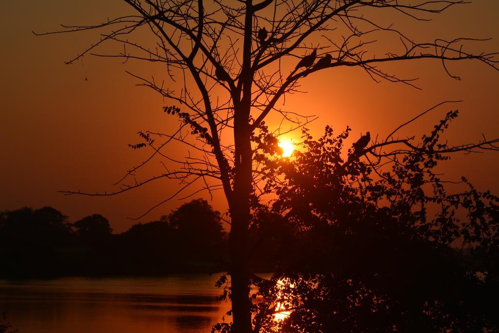 ホテル Zambezi Mubala Camp カティマ・ムリロ エクステリア 写真